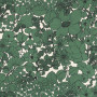 Tissu fleuri Suzie vert vanille Thevenon