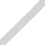 Galon faubourg 12 mm argent 7501-010 PIDF