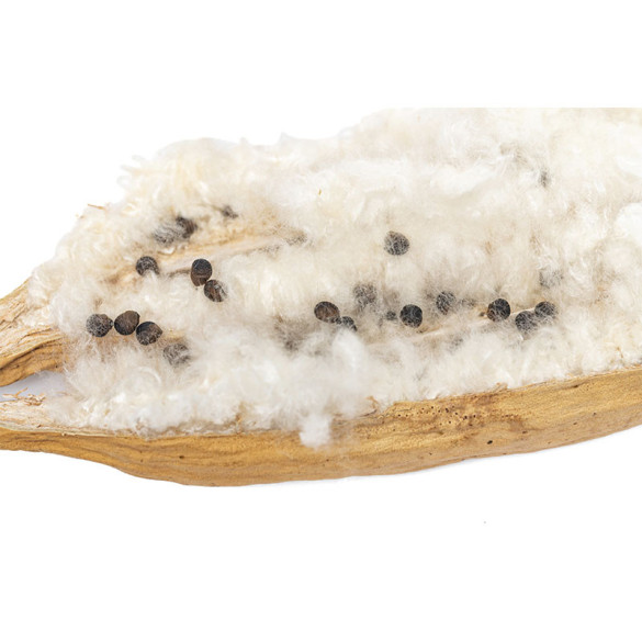 Fibre De Kapok Naturel Ouate De Kapok Rembourrage Pour Vêtements - Chine Le Kapok Ouates Et Ouate De Naturel Pour Le Remplissage Des Vêtements Prix