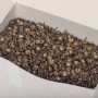 5000 clous tapissier ton foncé Ø11 mm