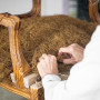 Elancrin cardé par 10 kg