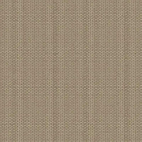 Toile pour store banne Orchestra MAX hêtre link Dickson