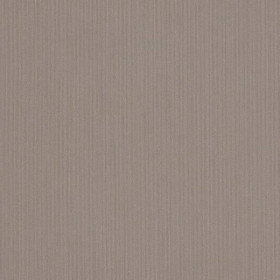 Toile pour store banne Orchestra Infinity daim piqué Dickson 165 cm