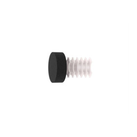 Embout bouchon Ø20 mm black forgé, lot de 2