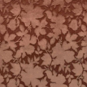 Jacquard velours Sandro palissandre Casal