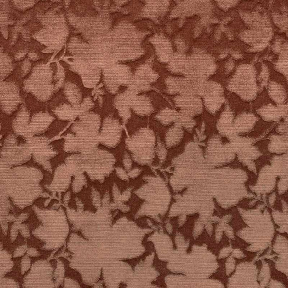Jacquard velours Sandro palissandre Casal