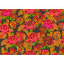 Tissu velours Floralie 1 Zéphyr & Co