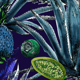 Tissu velours Agave 1 Zéphyr & Co
