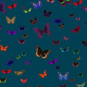 Tissu velours Butterfly 2 Zéphyr & Co