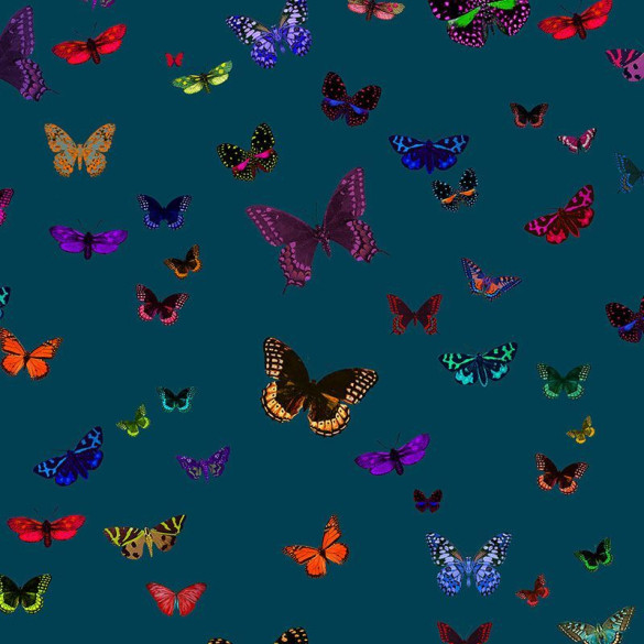 Tissu velours Butterfly 2 Zéphyr & Co