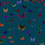 Tissu velours Butterfly 2 Zéphyr & Co