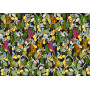 Tissu velours Lemonbird 2 Zéphyr & Co