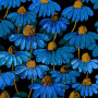 Tissu velours Marguerite 2 Zéphyr & Co