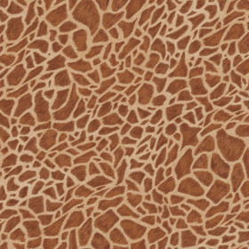 Tissu velours Girafe 1 Zéphyr & Co