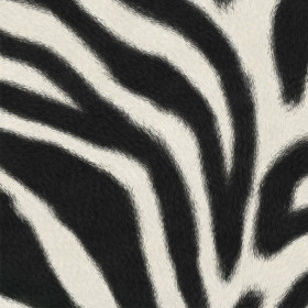 Tissu velours Zèbre 1 Zéphyr & Co