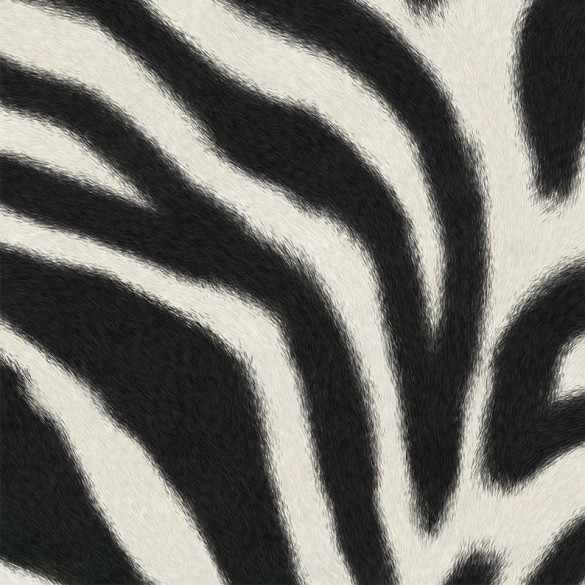 Tissu velours Zèbre 1 Zéphyr & Co