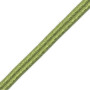 Double passepoil 8 mm fougère 4301-067 PIDF
