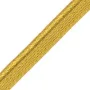 Passepoil sur pied 5 mm or 4356-102 PIDF