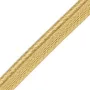 Passepoil sur pied 5 mm or clair 4356-103 PIDF