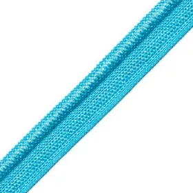 Passepoil sur pied 5 mm lagune 4356-199 PIDF