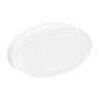 Ellipse mousse Polyéther 17 kg sur mesure - Épaisseur personnalisée