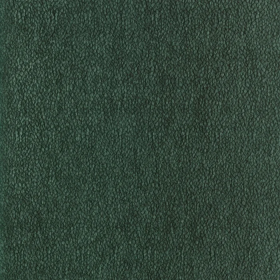 Tissu jacquard chenillé Chroma vert sapin Casamance Tissu jacquard Chroma vert sapin Casamance | Artapisserie.fr