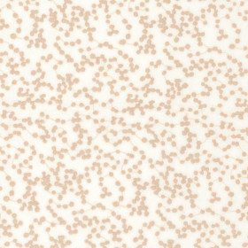 Voilage Aleora eau de rose Camengo 284cm Voilage Aleora eau de rose Camengo 284cm | Artapisserie.fr