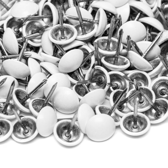 1000 clous tapissier prestige blanc mat Ø11 mm | artapisserie.fr