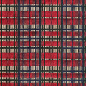 Tissu tressé Oxford rouge Casal | artapisserie.fr