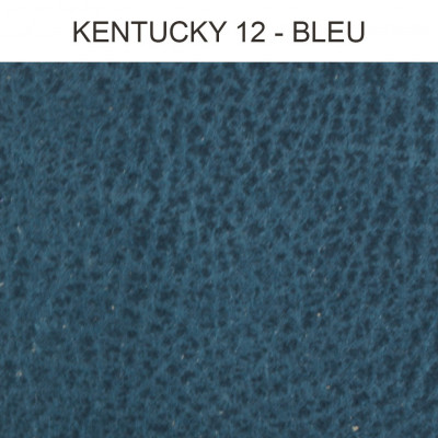 Simili cuir Kentucky bleu 12 Froca