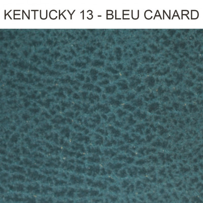 Simili cuir Kentucky bleu canard 13 Froca