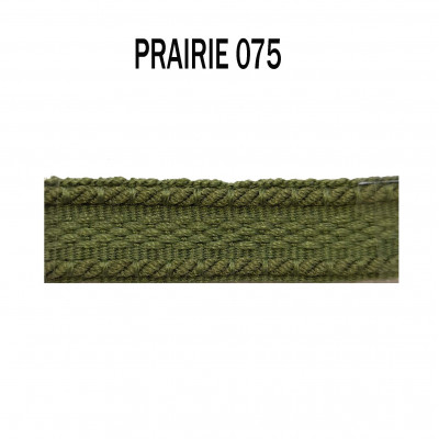Galon chaînette 15 mm prairie 5321-075 PIDF