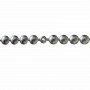 5 Bandes de clous factices Aluminium Brossé 11mm + 90 clous