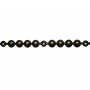 5 Bandes de clous factices fer, cuivre renaissance, 11 mm + 90 clous