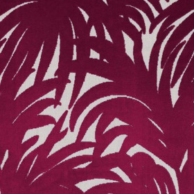 Tissu velours Amazone Guyane fuschia Camengo