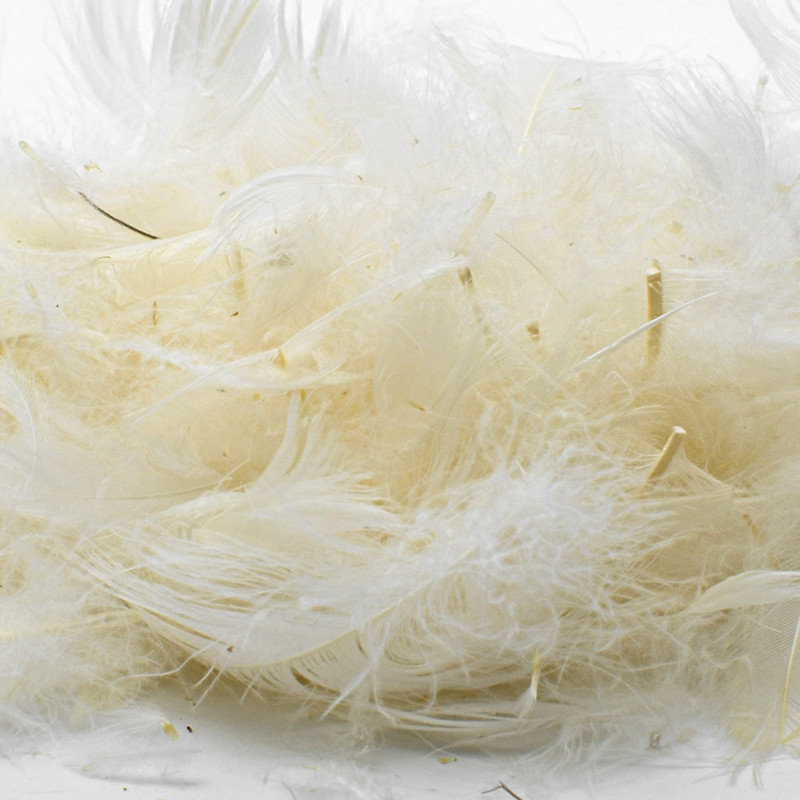 Plumes duveteuses de canard au kg pour coussins, oreillers, couettes