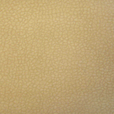 Tissu velours Enoa Perfect dune Casal
