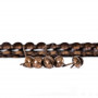 10 Clous pour bande de clous tapissier Lentille Fer Bronze vieilli 9,5 mm