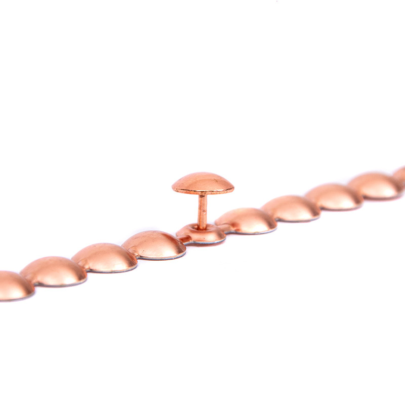 Clou Tapissier 10 Bandes De Clous Tapissier 200 Clous - Lentille