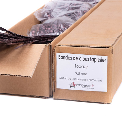Carton de 250 bandes de clous tapissier Lentille Fer Topaze 9,5 mm + 6000 clous