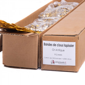 Carton de 250 bandes de clous tapissier Lentille Fer Or antique 9,5 mm + 6000 clous