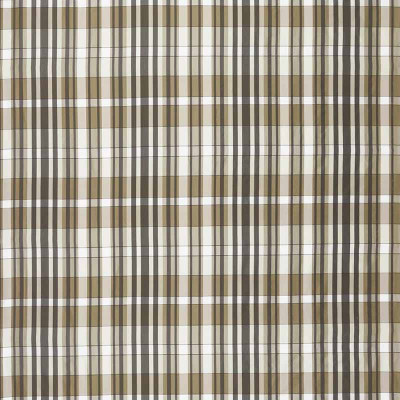 Tissu tartan Banarasi natural Designers Guild