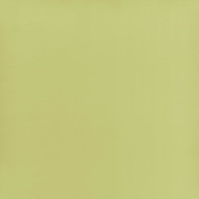 Tissu taffetas Calozzo pistachio Designers Guild 330 cm