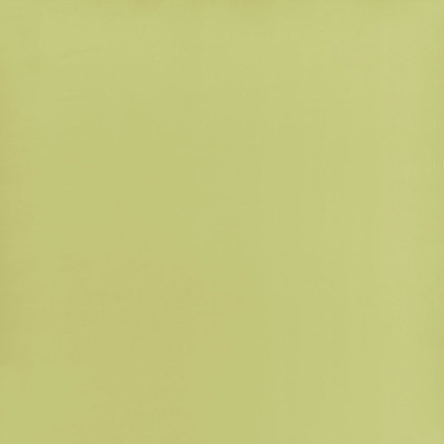 Tissu taffetas Calozzo pistachio Designers Guild 330 cm