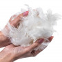 Rembourrage plume de canard & fibre polyester 50/50 - 1kg