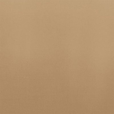 Tissu velours Coulisse sable Camengo 295 cm