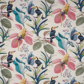 Tissu perruche Parakeet seashell Prestigious Textiles