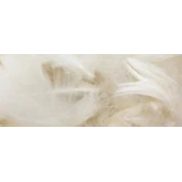 Plume et laine | artapisserie.fr