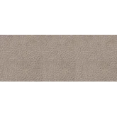 Tissu velours éléphant Dyonisos