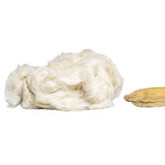 Kapok : Fibre Naturelle de Rembourrage | Artapisserie.fr